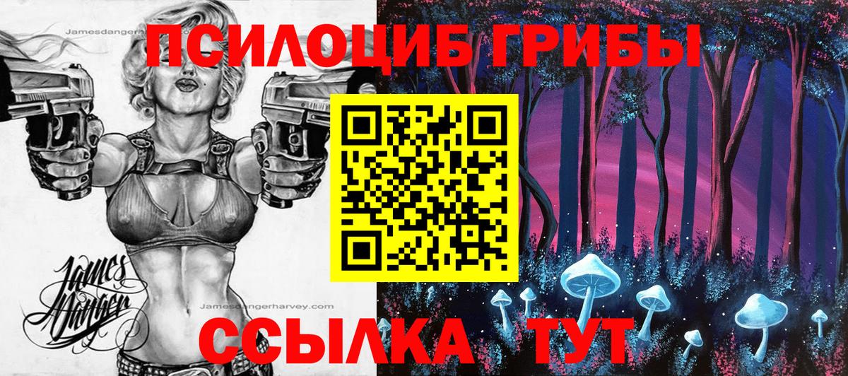 Галлюциногенные грибы прущие грибы  Псилоцибиновые грибы Cubensis  продажа наркотиков  Красноуфимск  Вход с VPN 